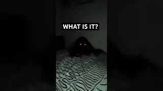 WOULD YOU STAY? 