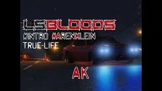 GTA RP Aren Klein New Story Begins LS Bloods True-Life