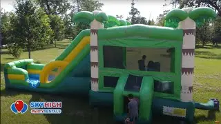 360° Media Palm Tree Combo Wet Dry Slide | Move the Camera inside a 360° View