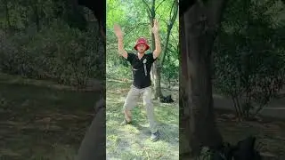Фрагмент занятия из закрытого клуба. Цигун и Нэйгун