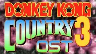 Donkey Kong Country 3 - OST - Cavern Caprise