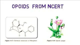 Mnemonic for Opoids - Drugs_and alcohol abuse[NEET]