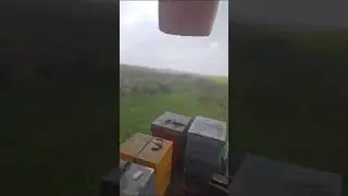 ливень  на пасике