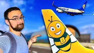 I flew the airline causing a BUZZ!