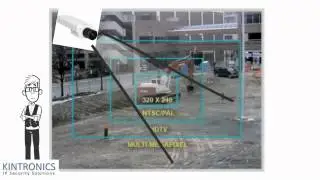 IP Cameras