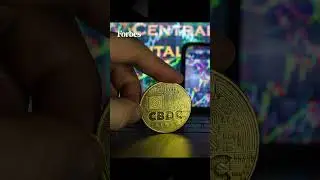 IMF Develops Cross-Border Central Bank Digital Currency Platform, Says Chief
