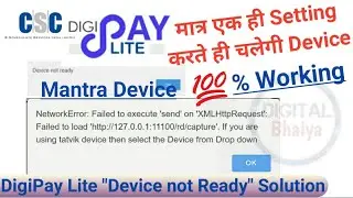 Digipay Lite Network error failed to execute send on XMLHttpRequest failed to load http//127.0.0.1:1