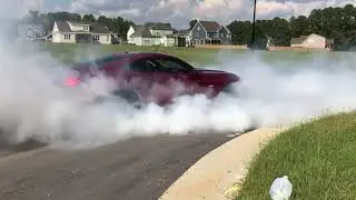 5.0 Mustang Burnout