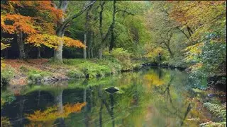 LKJ - The Calm (Relaxing Music (EXP 10))