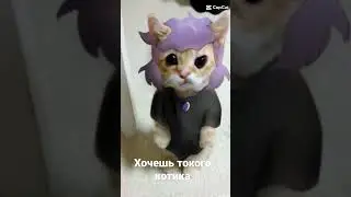 хочешь токого котика