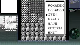 VOD[Oct 28, 24] Continuing the Pokemon Multi World Randomizer with @blckspottdzebra & @ixchelia
