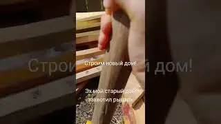 #музыка #гномы #боже #тренд #существа #рыцари #мем #юмор #прикол #жиза
