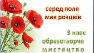 How to draw beautiful poppies