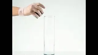 Science, bitch