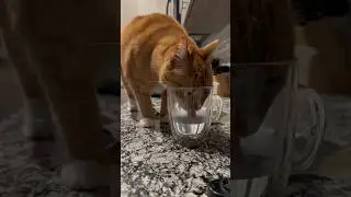 This is my water now 