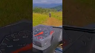 pergi saja kehutan jika hati sedang kecewa
