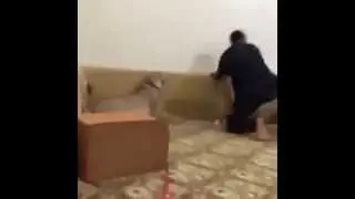 Иди познакомься, чувак