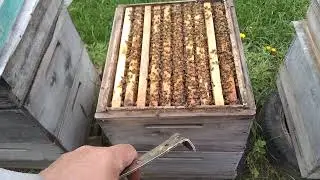 What needs to be done to prevent bee families from swarming.