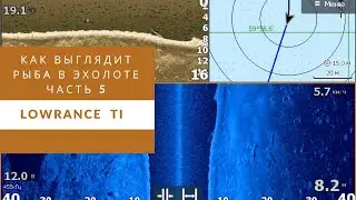 What does fish look like on a fish finder? Part 5. Lowrance Elite Ti.