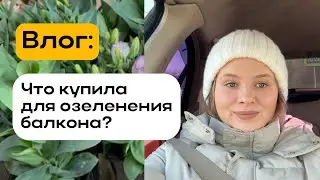 Влог: что купила для озеленения балкона? В первый раз сею рассаду!🌿
