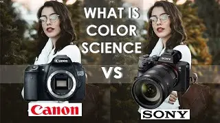 Color Science - Canon Vs Sony + 5 Things You Need to Know