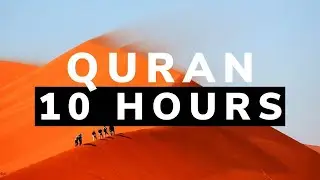 10 Hours Beautiful Quran Recitation Relaxation Deep Sleep with Quran | Stress relief