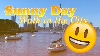 Sun, Food, and Festival in NYC