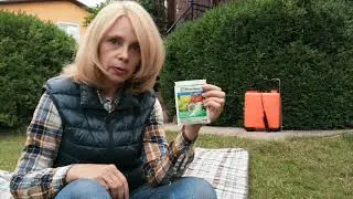 САМШИТОВА ВОГНІВКА. ЯК БОРОТИСЯ?