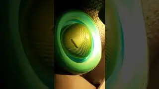 PUSHING PR ON JBL FLIP 5 GG