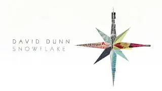 David Dunn - Snowflake (Official Lyric Video)