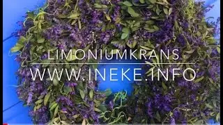Limoniumkrans