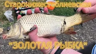 Водоём 