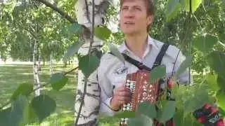 Игорь Шипков - Берёза