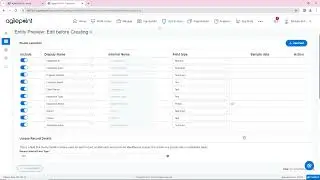Create Data Entity with Prompts