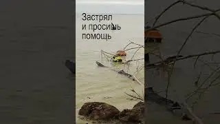 Китайская игрушка для рыбалки #shorts