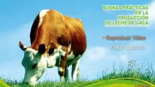 Autoría DVD: "Buenas Prácticas... Leche de Vaca"