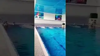 плавание