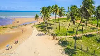 Baixio | Bahia | Brasil