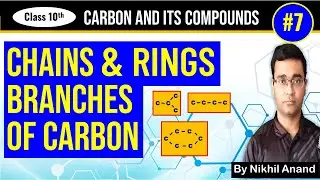 Chains, Branches and Rings of Carbon | Carbon and Its Compounds | Class 10 Science Chapter 4 Part 7