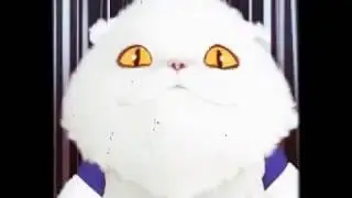 Котик Кларенс 2 серия "Бекон лучше чем будильник"🐈⏰🥓