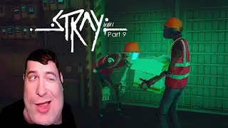 Ценный ГРУЗ ► Stray |9|
