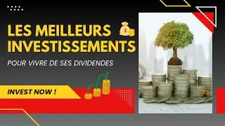 Les Meilleurs Investissements Pour Vivre De Ses DIVIDENDES 💰 💰