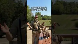 What is A Gyp? | Doggy Dictionary Word Of The Day #puppytrainingbasics #dog #puppy