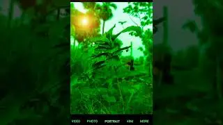 Creative Photography Tips and Trick with Phone using pro Mode  | Mobile Photography Hacks 