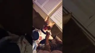 мы весёлые медузы)))