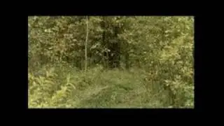 колдовская любовь серия 55-часть 1/5