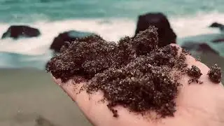 Papakolea Green Sand Beach - Hawaii, big island