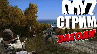 Стрим | DayZ Cтроим базу | Как залутать военку?!