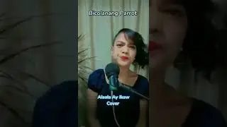ALA ALA AY IKAW COVER