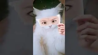 My pretty 🐈 cat 💕💕😘